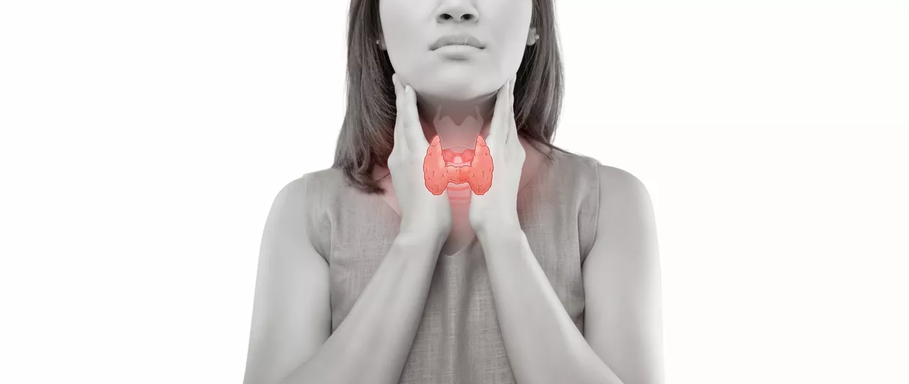 The Importance of Thyroid Function Tests in Diagnosing Hyperthyroidism