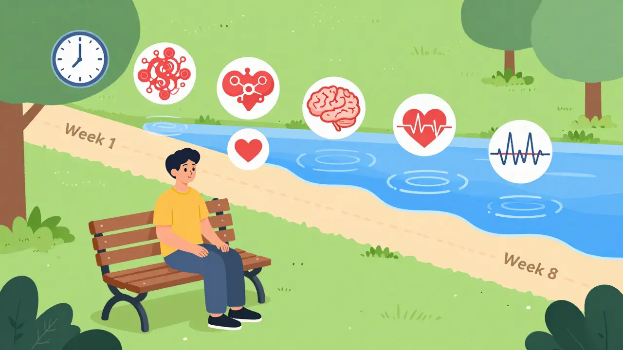 A person on a park bench with visual timeline showing anxiety transforming from chaotic to calm over eight weeks.