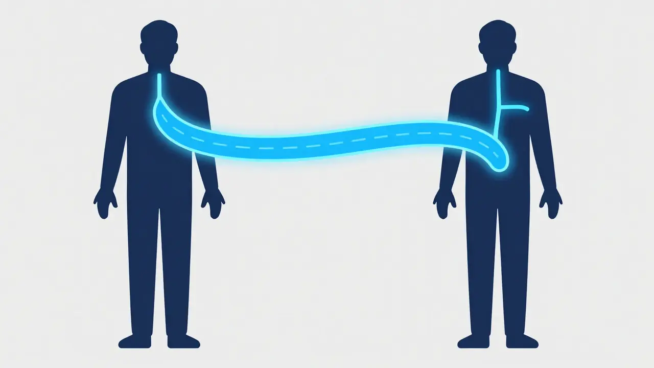 Abstract illustration showing identical drug absorption in two bodies.