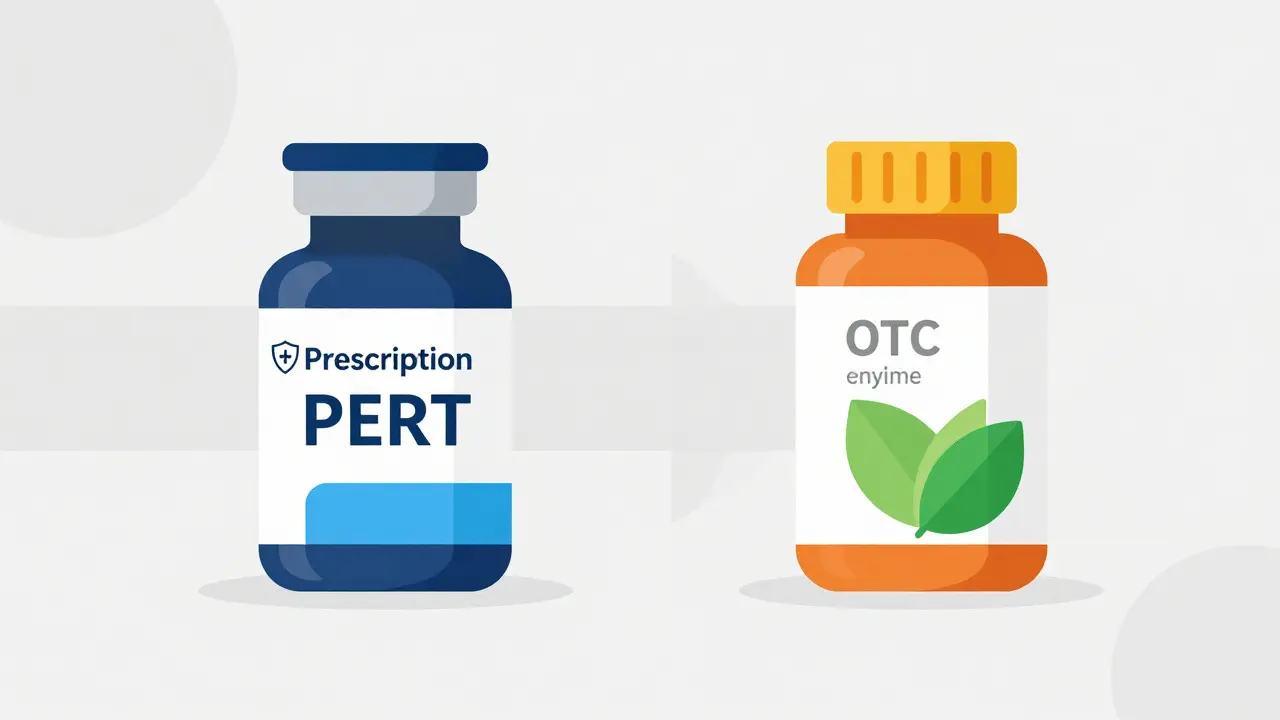 Digestive Enzymes: When Supplements Actually Help GI Symptoms