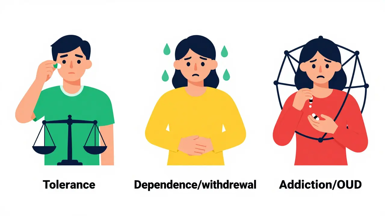 Flat graphic distinguishing tolerance, dependence, and addiction